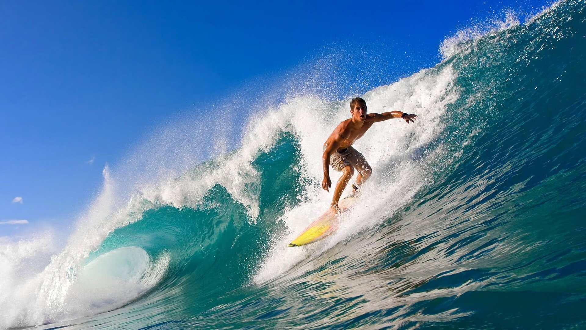 超高人气主播的幕后故事，揭秘他们走红的真相，超高人气主播的幕后故事,揭秘他们走红的真相